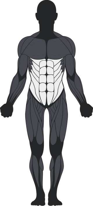 Brzuch