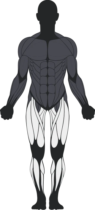 Nogi