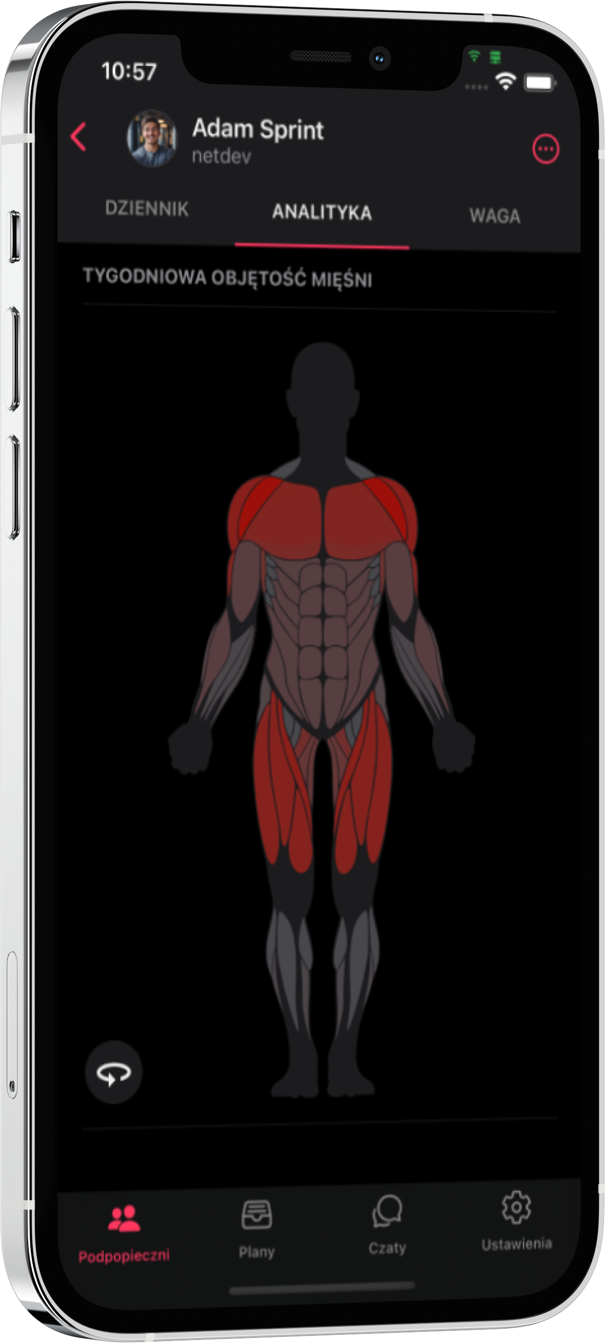 exercise charts