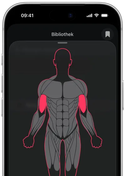 Übungssuche nach Muskel in SmartWorkout: der Muskel auf einer Körperkarte ausgewählt