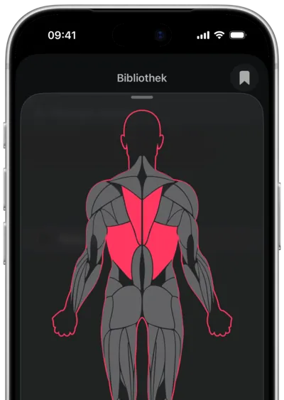 Übungssuche nach Muskel in SmartWorkout: der Muskel auf einer Körperkarte ausgewählt