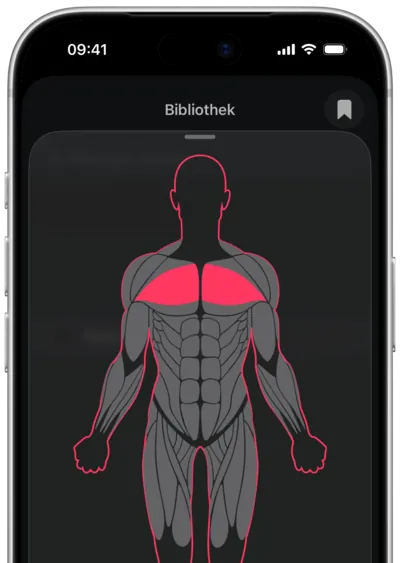 Übungssuche nach Muskel in SmartWorkout: der Muskel auf einer Körperkarte ausgewählt