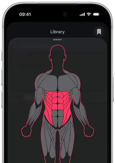 Searching exercises by muscle in SmartWorkout: the muscle selected on a body map