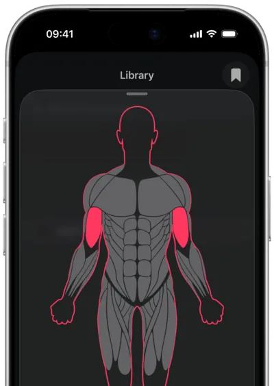 Searching exercises by muscle in SmartWorkout: the muscle selected on a body map