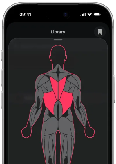 Searching exercises by muscle in SmartWorkout: the muscle selected on a body map