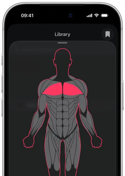 Searching exercises by muscle in SmartWorkout: the muscle selected on a body map