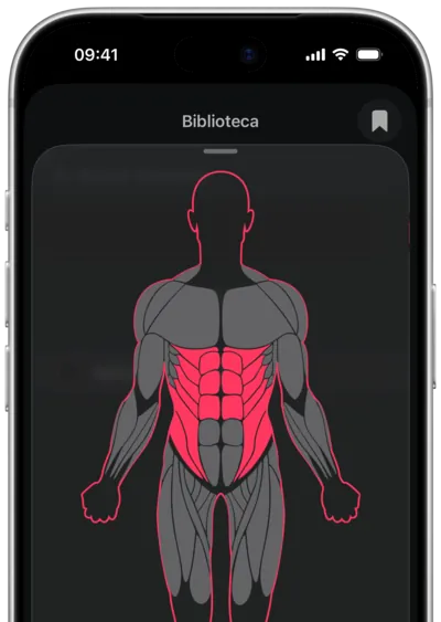 Búsqueda de ejercicios por músculo en SmartWorkout: el músculo seleccionado en un mapa del cuerpo