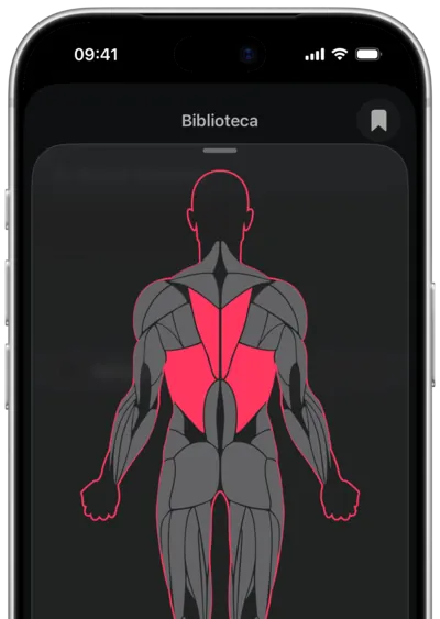 Búsqueda de ejercicios por músculo en SmartWorkout: el músculo seleccionado en un mapa del cuerpo