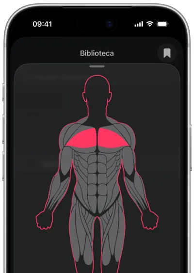 Búsqueda de ejercicios por músculo en SmartWorkout: el músculo seleccionado en un mapa del cuerpo