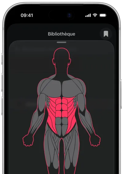 Recherche d'exercices par muscle dans SmartWorkout : le muscle sélectionné sur une silhouette