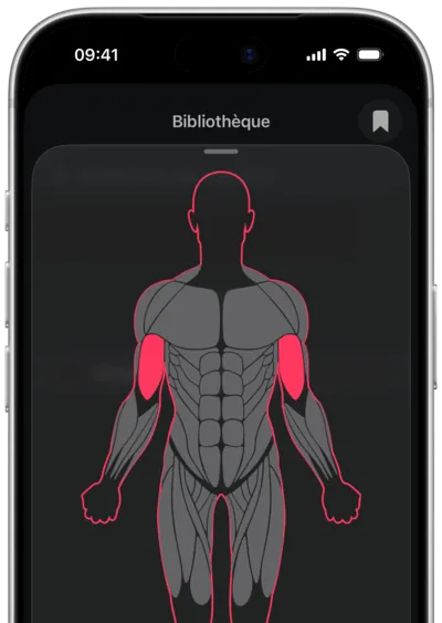 Recherche d'exercices par muscle dans SmartWorkout : le muscle sélectionné sur une silhouette
