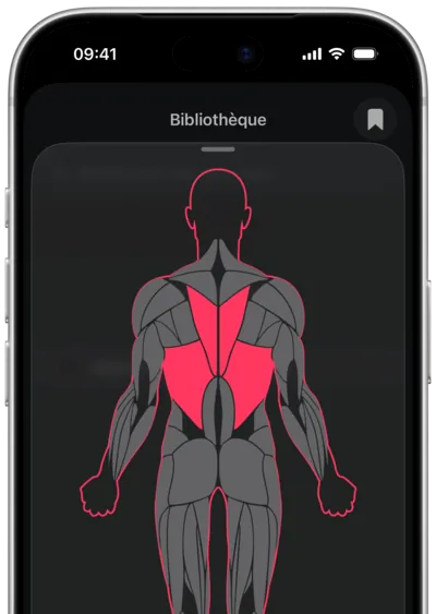 Recherche d'exercices par muscle dans SmartWorkout : le muscle sélectionné sur une silhouette