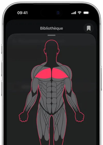 Recherche d'exercices par muscle dans SmartWorkout : le muscle sélectionné sur une silhouette