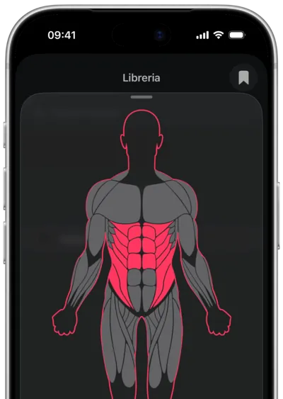 Ricerca degli esercizi per muscolo in SmartWorkout: il muscolo selezionato su una mappa del corpo