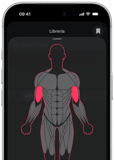 Ricerca degli esercizi per muscolo in SmartWorkout: il muscolo selezionato su una mappa del corpo