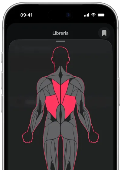 Ricerca degli esercizi per muscolo in SmartWorkout: il muscolo selezionato su una mappa del corpo