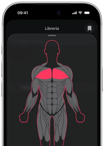 Ricerca degli esercizi per muscolo in SmartWorkout: il muscolo selezionato su una mappa del corpo