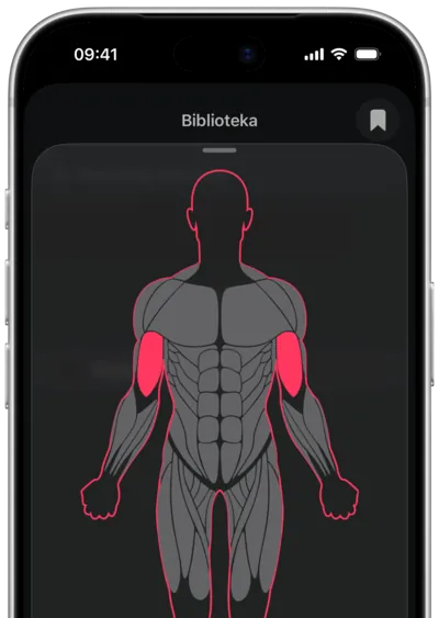 Wyszukiwanie ćwiczeń po mięśniu w SmartWorkout: mięsień zaznaczony na sylwetce