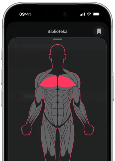 Wyszukiwanie ćwiczeń po mięśniu w SmartWorkout: mięsień zaznaczony na sylwetce