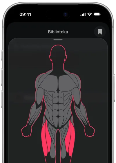 Wyszukiwanie ćwiczeń po mięśniu w SmartWorkout: mięsień zaznaczony na sylwetce