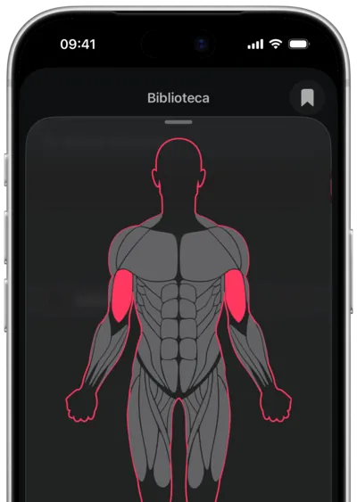 Busca de exercícios por músculo no SmartWorkout: o músculo selecionado em um mapa do corpo