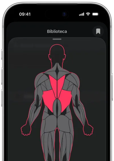 Busca de exercícios por músculo no SmartWorkout: o músculo selecionado em um mapa do corpo