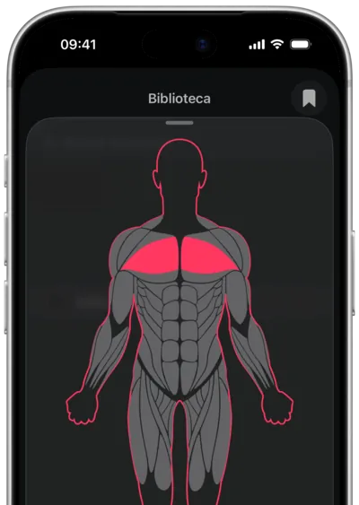 Busca de exercícios por músculo no SmartWorkout: o músculo selecionado em um mapa do corpo