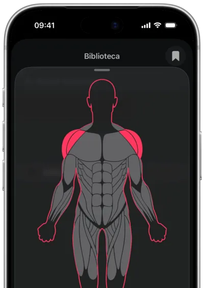 Busca de exercícios por músculo no SmartWorkout: o músculo selecionado em um mapa do corpo