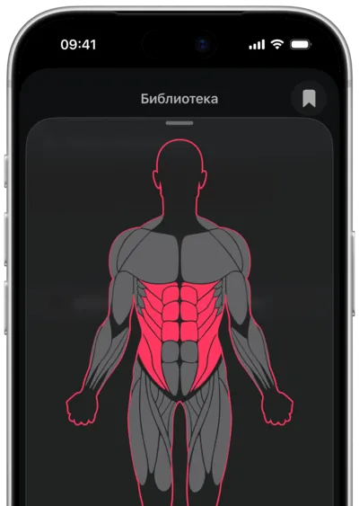Поиск упражнений по мышце в SmartWorkout: мышца выбрана на карте тела