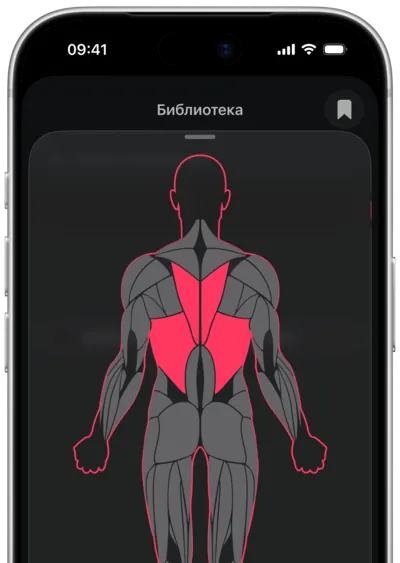 Поиск упражнений по мышце в SmartWorkout: мышца выбрана на карте тела