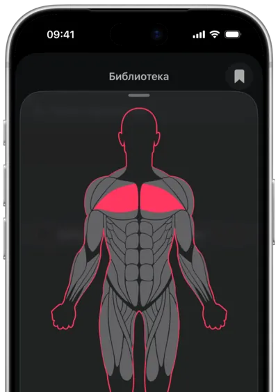 Поиск упражнений по мышце в SmartWorkout: мышца выбрана на карте тела