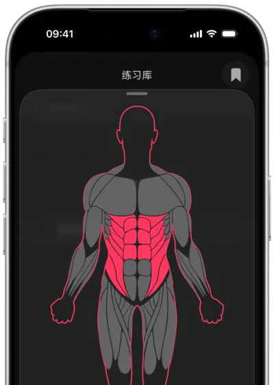 在 SmartWorkout 中按肌肉搜索动作：在人体图上选中肌肉