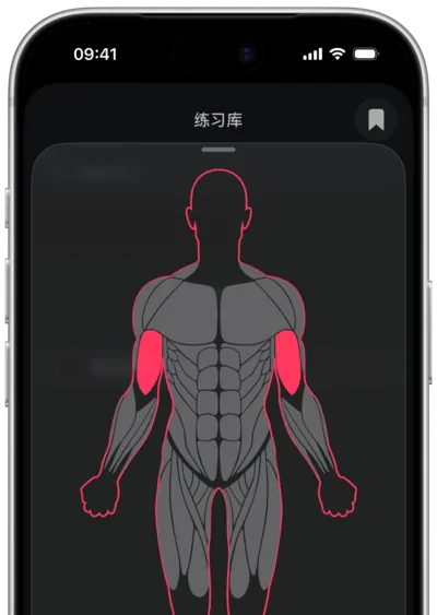 在 SmartWorkout 中按肌肉搜索动作：在人体图上选中肌肉