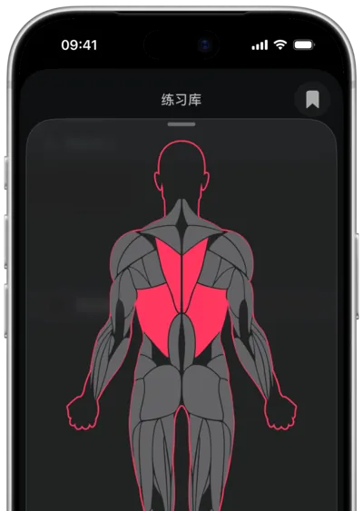 在 SmartWorkout 中按肌肉搜索动作：在人体图上选中肌肉