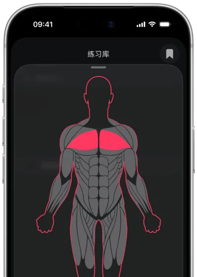 在 SmartWorkout 中按肌肉搜索动作：在人体图上选中肌肉
