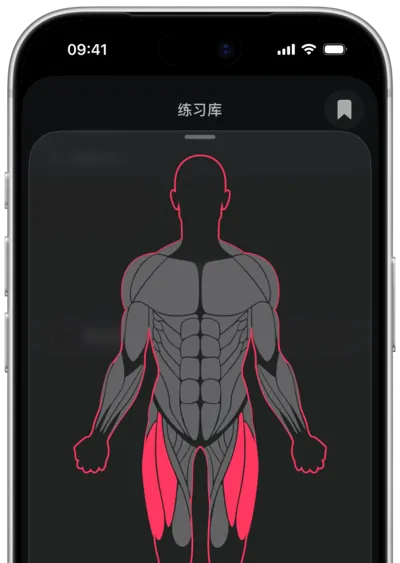在 SmartWorkout 中按肌肉搜索动作：在人体图上选中肌肉