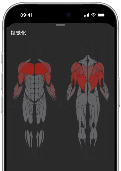 SmartWorkout 训练总结，附带练到的肌肉图